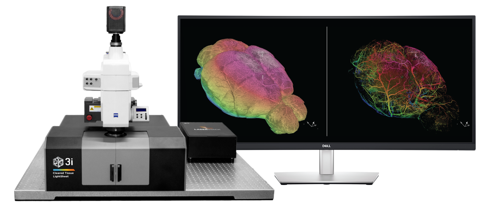 Cleared Tissue LightSheet 3i